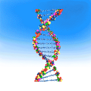 DNA-05-300-128